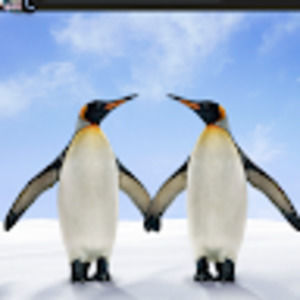 Meet your Posher, Sakeena